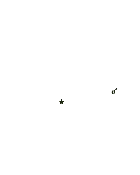 File:Star Heart Tattoo.png