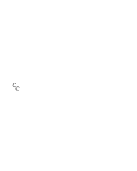 File:Dual Rings Silver.png