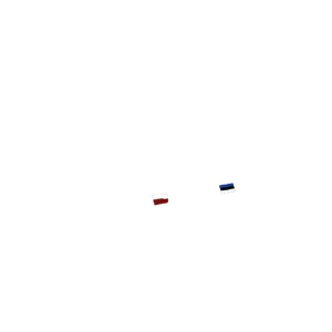 Poland and Estonia.png