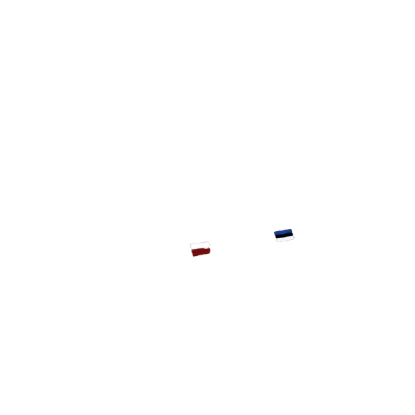 File:Poland and Estonia.png
