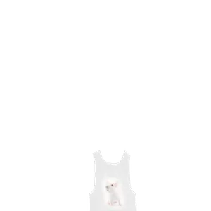 Rat Tank