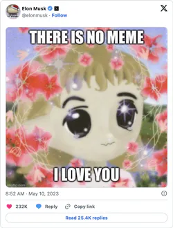 Elon There Is No Meme