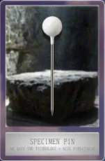 Specimen Pin.