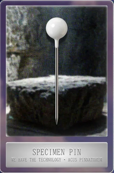 File:RemiliaNET Specimen Pin card.jpeg