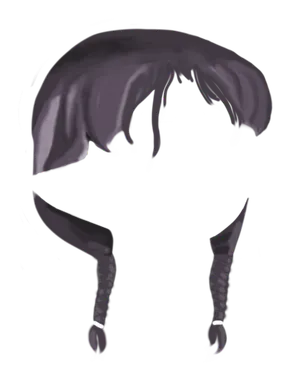 Braid Purple.png