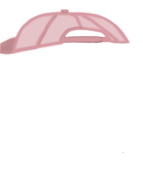 File:Backwards Trucker Pink.png