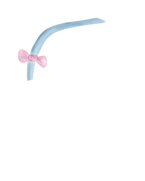 File:Blue Pink Bow.png