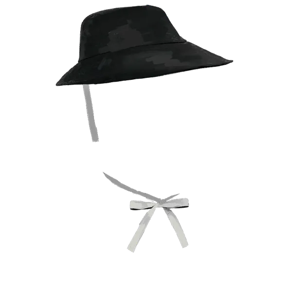 File:Bonnet.png