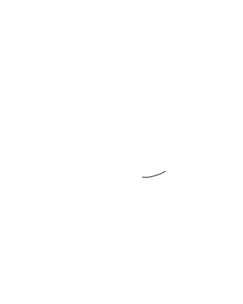 File:Smile B.png