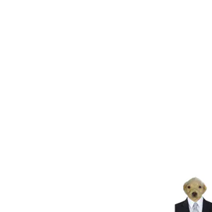 Surfy.png