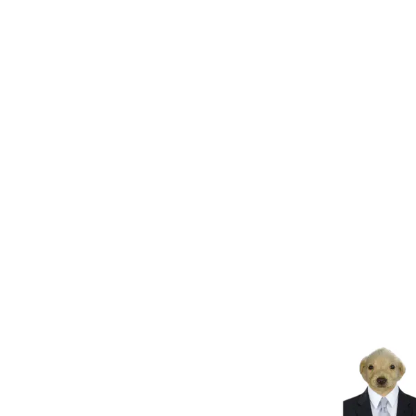 File:Surfy.png