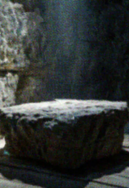 File:Beetleboy Artifacts Background.webp