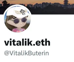 VItalik Milady PFP