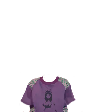 Heihei Shirt.png