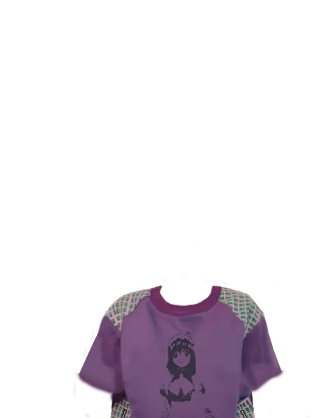 File:Heihei Shirt.png