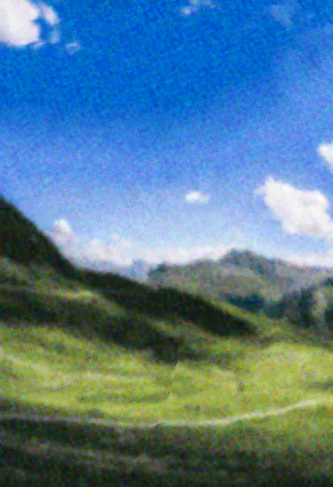 Beetleboy Daisy Background.webp