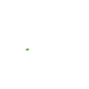 Sonic Emerald.png