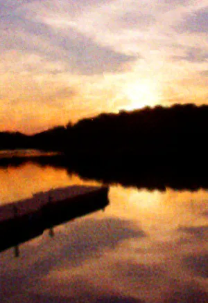 Beetleboy Morning Glory Background.webp