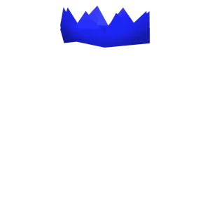 Party Hat.png