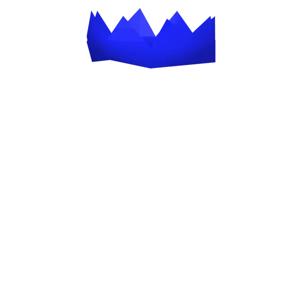 File:Party Hat.png