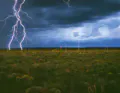 Thumbnail for version as of 19:23, 19 October 2026