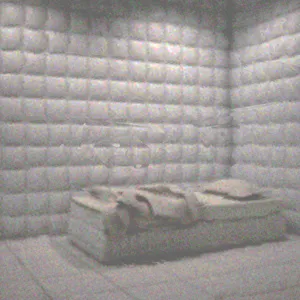 Padded Cell