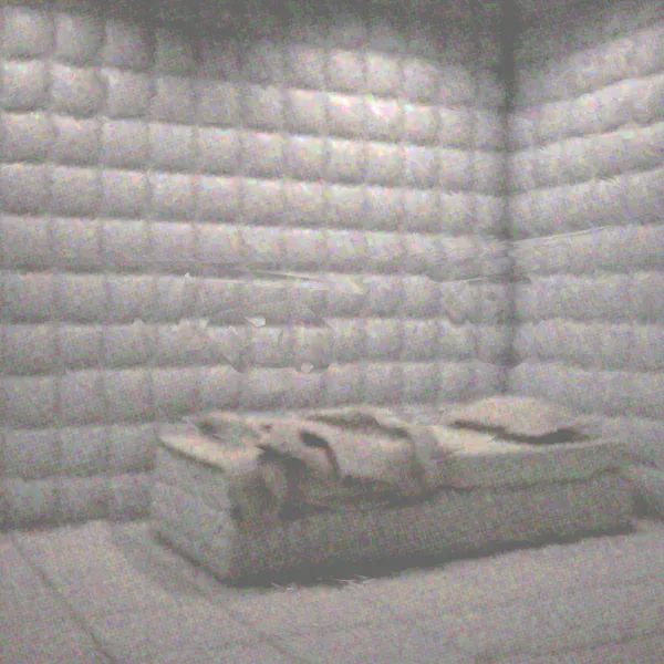 File:Padded Cell.png