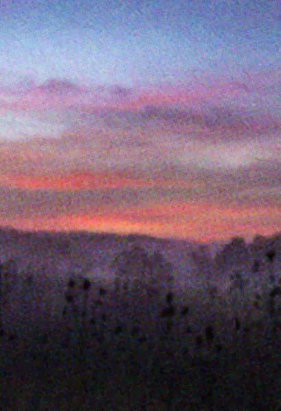 File:Beetleboy Giraffe Weevil Background.webp