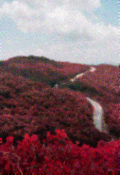 File:Beetleboy Purple Background.webp