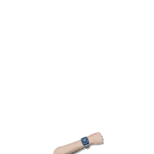 Bugatti Watch.png