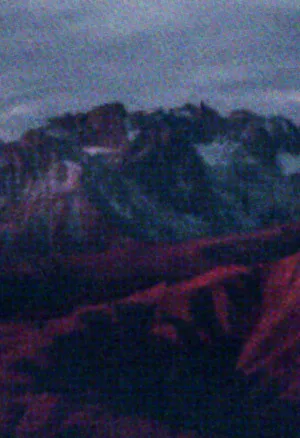 Beetleboy Gallic Rose Background.webp