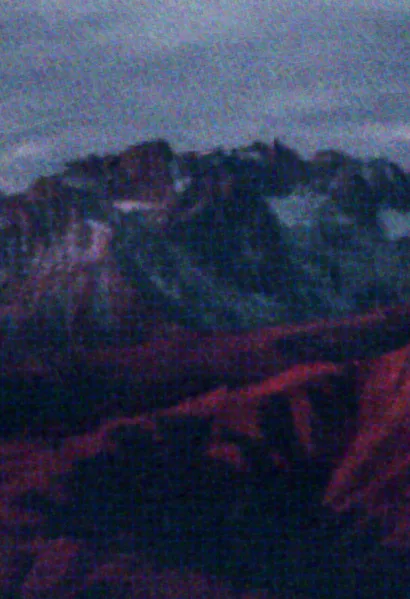 File:Beetleboy Gallic Rose Background.webp