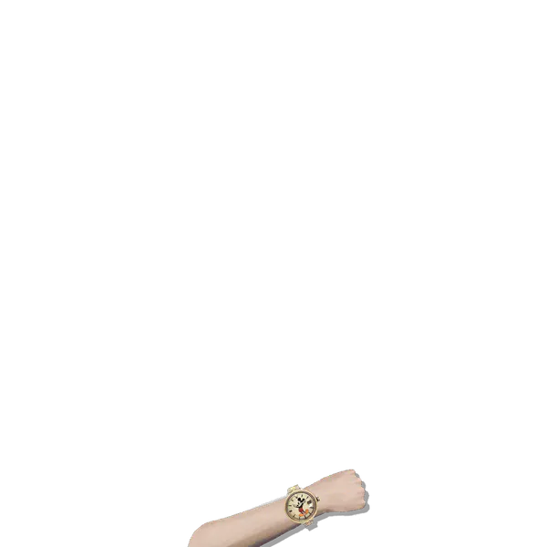 File:Disney Rolex.png