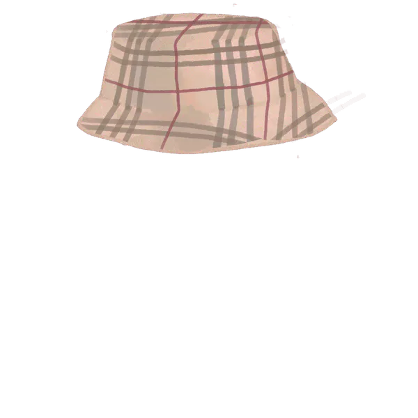 File:Chav Bucket.png