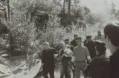 Thumbnail for version as of 00:48, 27 June 2026