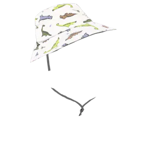 Dino Bucket