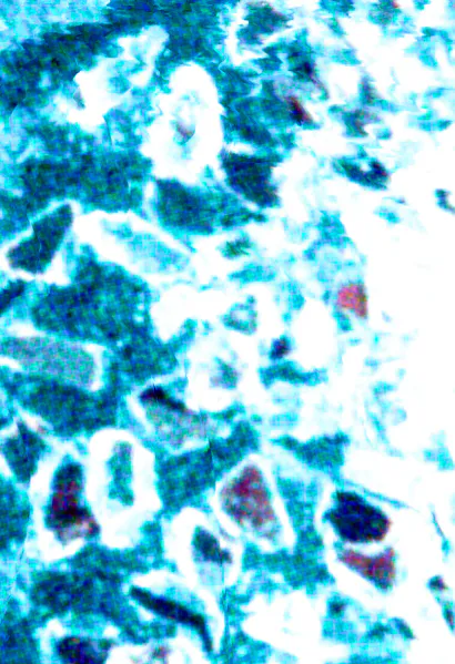 File:Beetleboy Hammer T5 Background.webp