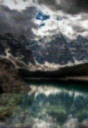 Beetleboy Royal Poinciana Background.webp