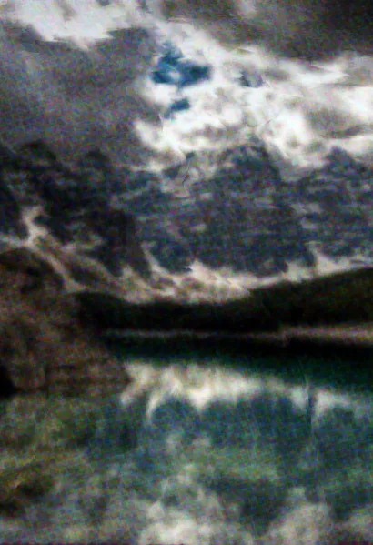 File:Beetleboy Royal Poinciana Background.webp