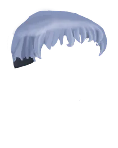 Short Blue