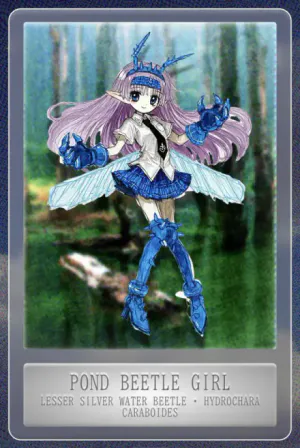 Pond Beetle Girl.jpeg