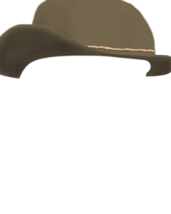 Brown Cowboy Hat
