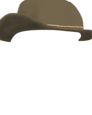Brown Cowboy Hat.png