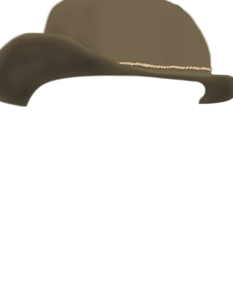 File:Brown Cowboy Hat.png