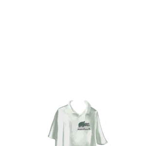 Minecraft Polo Official