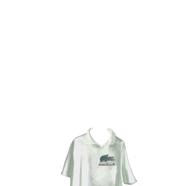 File:Minecraft Polo Official.png