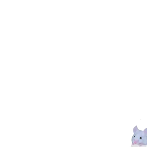 Ika.png