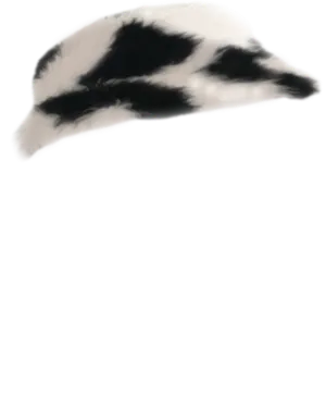 Spotted Fur Hat.png