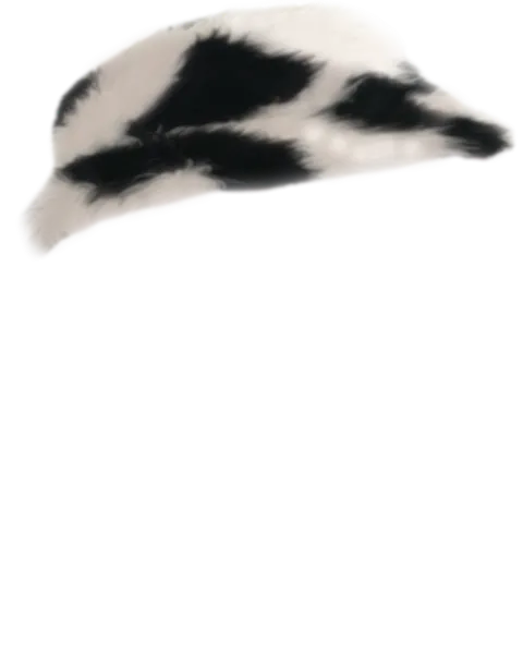 File:Spotted Fur Hat.png