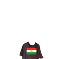 Thumbnail for version as of 19:10, 10 June 2026